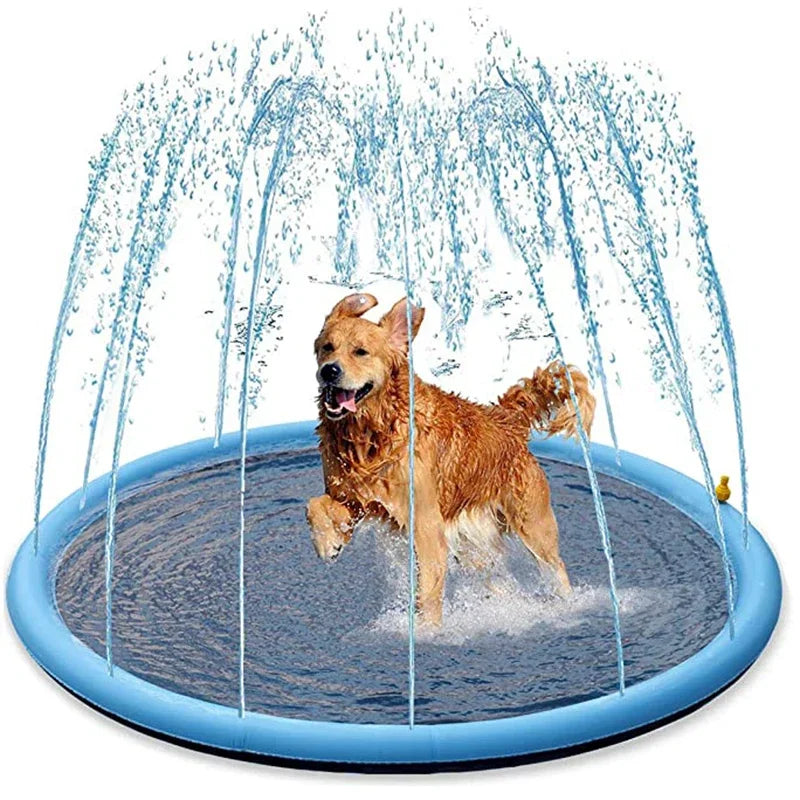 Summer Dog Swimming Pool