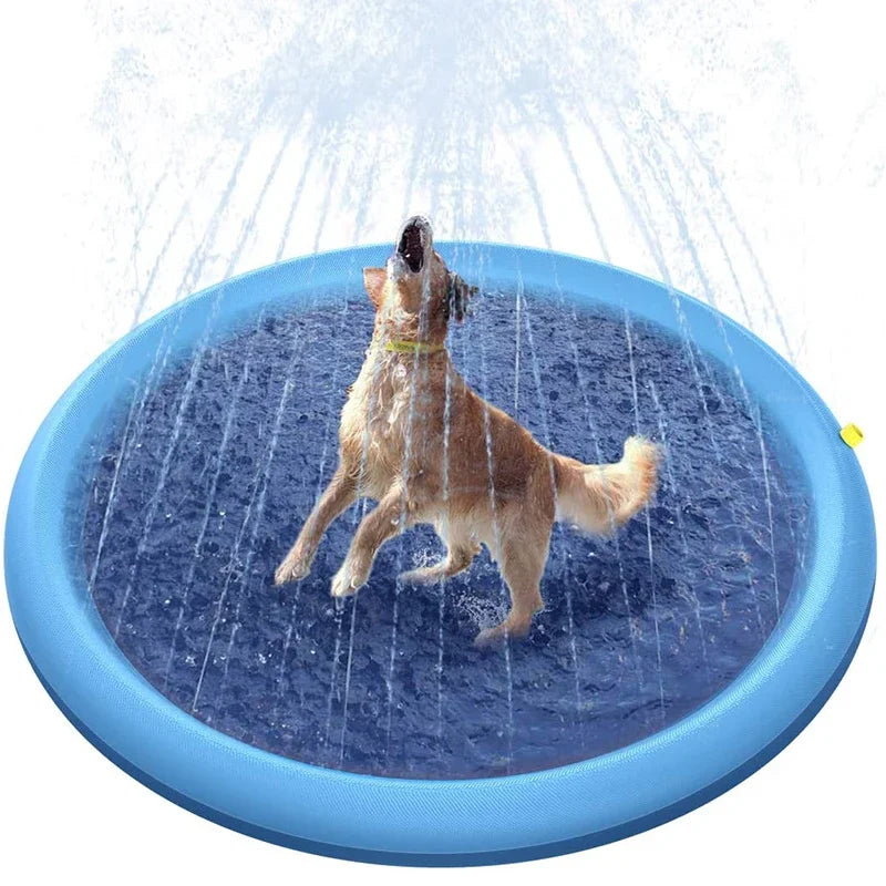 Summer Dog Swimming Pool