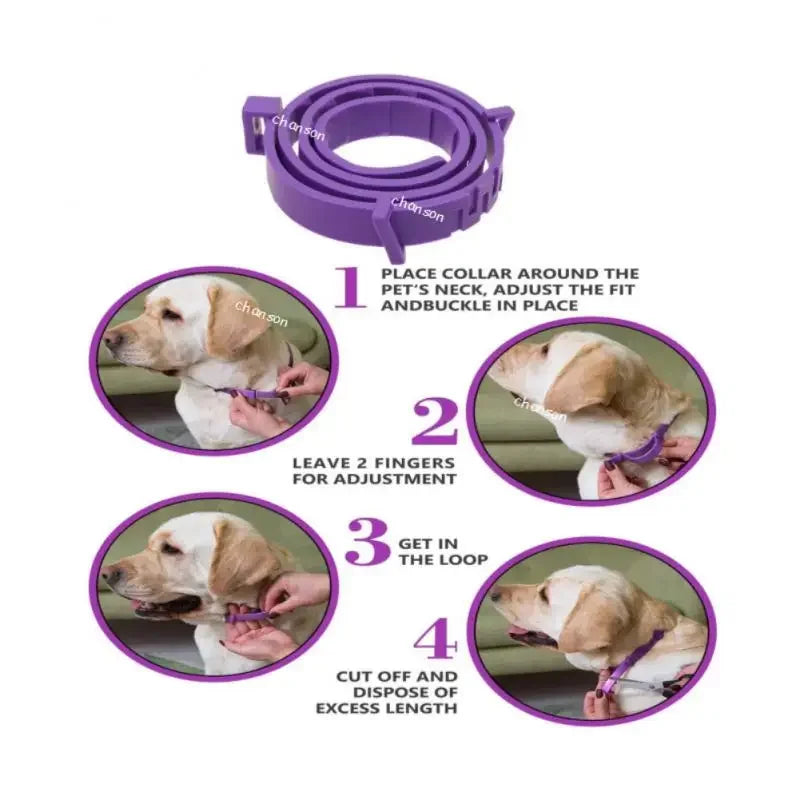 Dog Calming Collar