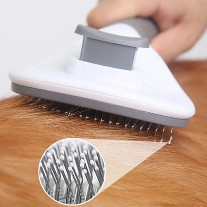 Dog Cleaning Brush