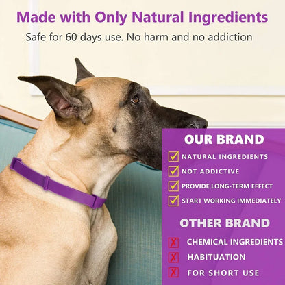 Dog Calming Collar