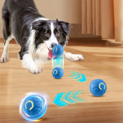 Automatic Rolling Dog Ball