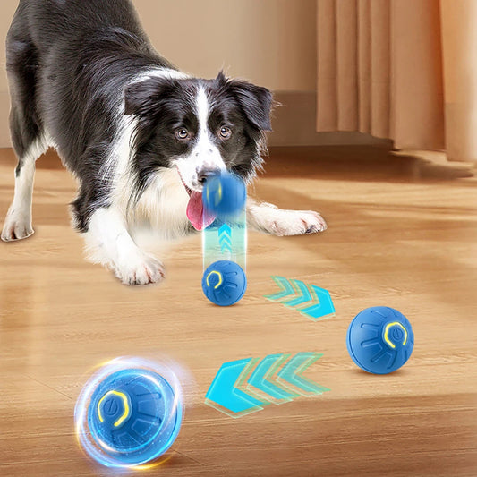 Automatic Rolling Dog Ball