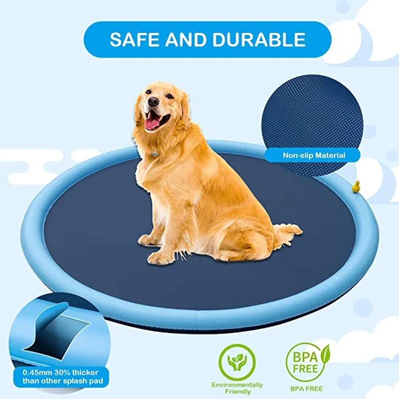 Summer Dog Swimming Pool