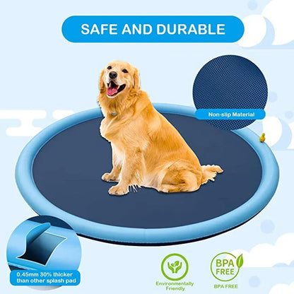 Summer Dog Swimming Pool