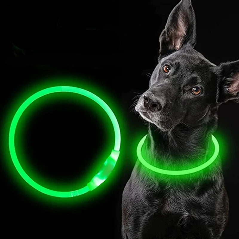 Led Dog Collar