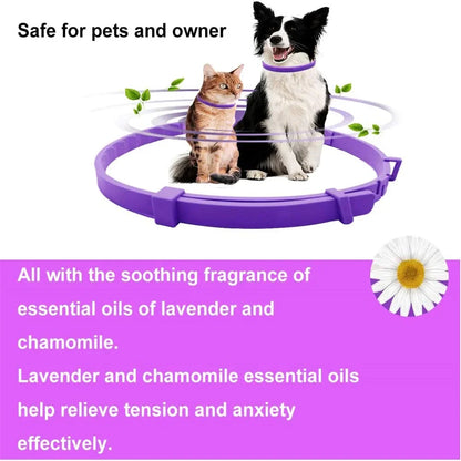 Dog Calming Collar