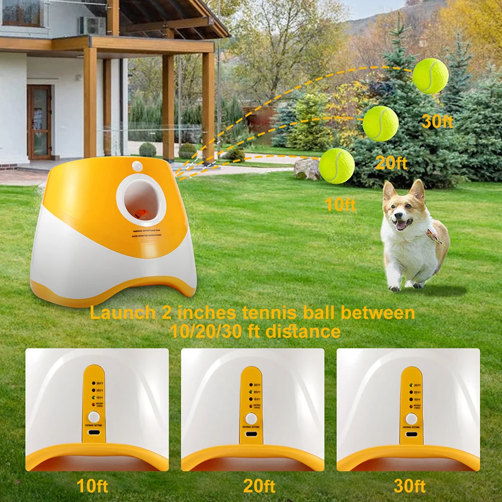 Automatic Tennis Launcher Dog Toy