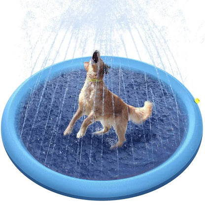 Summer Dog Swimming Pool